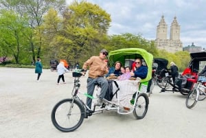 NYC: Central Park Guided Pedicab Tour