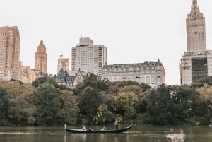 Washington DC: Washington Monument Top View gereserveerde toegang