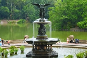 NYC: Tour guidato a piedi di Central Park Inglese-Spagnolo