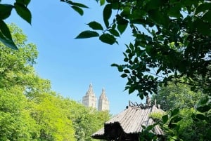 NYC: Central Park geführter Rundgang