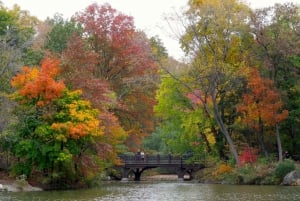 Central Park: Führung zu den geheimen Schätzen des Parks