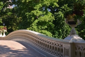 NYC: Central Park Highlights guidet tur