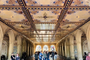 NYC: Central Park Highlights Opastettu kierros