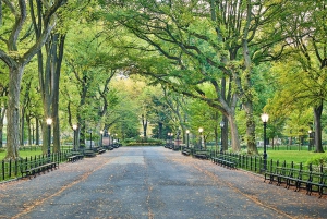 NYC: Central Park Highlights Opastettu kierros