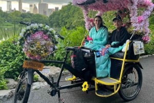 NYC: Passeio de pedicab pelos destaques do Central Park