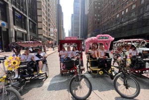 NYC: Passeio de pedicab pelos destaques do Central Park