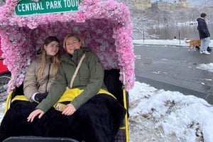 NYC: Passeio de pedicab pelos destaques do Central Park