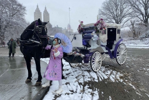 NYC: Turer med häst och vagn i Central Park (Upp till 4 vuxna)