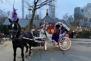 NYC: Turer med häst och vagn i Central Park (Upp till 4 vuxna)