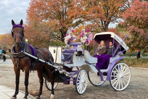 NYC: Turer med häst och vagn i Central Park (Upp till 4 vuxna)