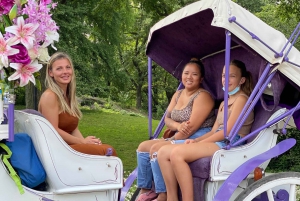 NYC: Turer med häst och vagn i Central Park (Upp till 4 vuxna)