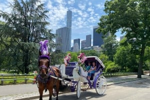 NYC: Turer med häst och vagn i Central Park (Upp till 4 vuxna)