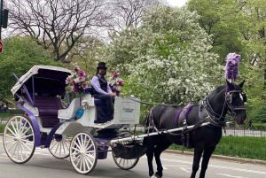 NYC: Turer med häst och vagn i Central Park (Upp till 4 vuxna)