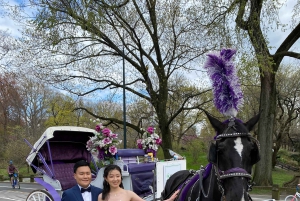 NYC: Turer med häst och vagn i Central Park (Upp till 4 vuxna)