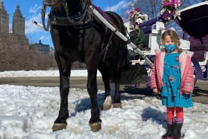 NYC: Turer med häst och vagn i Central Park (Upp till 4 vuxna)