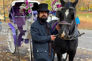 NYC: Turer med häst och vagn i Central Park (Upp till 4 vuxna)