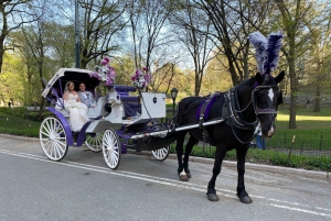 NYC: Turer med häst och vagn i Central Park (Upp till 4 vuxna)