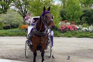 NYC: Turer med häst och vagn i Central Park (Upp till 4 vuxna)