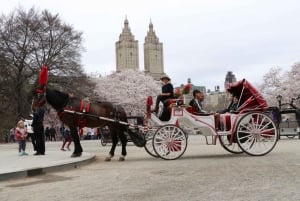 Nueva York: paseo en carruaje de caballos por Central Park