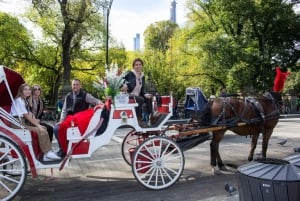 New York City: Häst och vagn till Central Parks sevärdheter