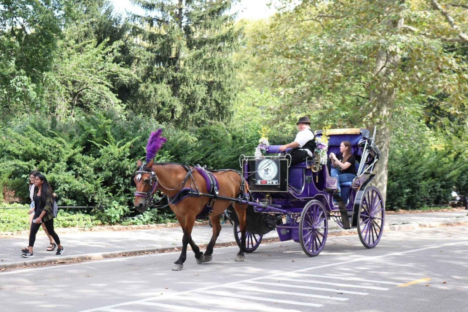 Giro in carrozza a cavallo a Central Park (65 min)