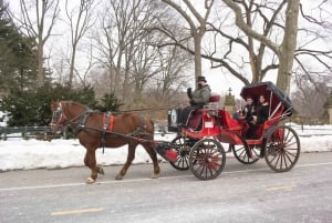 NYC hestevogntur i Central Park (65 min)