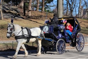 ニューヨーク セントラルパークでの馬車乗馬（65 分）