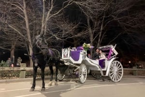 NYC Pferdekutschenfahrt im Central Park (65 min)