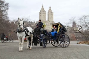 NYC hestevogntur i Central Park (65 min)