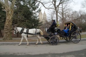 Promenade en calèche dans Central Park (65 min)