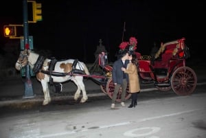 NYC Åktur med häst och vagn i Central Park (65 min)