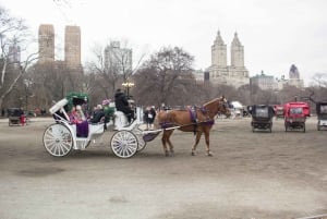 Giro in carrozza a cavallo a Central Park (65 min)