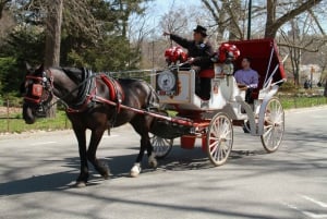 NYC Hestevognstur i Central Park (65 min)