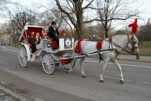 NYC hestevogntur i Central Park (65 min)