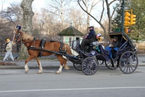 NYC Pferdekutschenfahrt im Central Park (65 min)