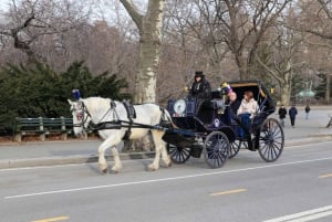 NYC hestevogntur i Central Park (65 min)