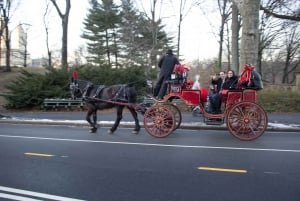 NYC hestevogntur i Central Park (65 min)