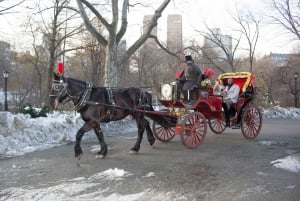 NYC Pferdekutschenfahrt im Central Park (65 min)