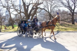 Giro in carrozza a cavallo a Central Park (65 min)