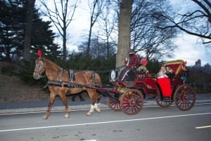 ニューヨーク セントラルパークでの馬車乗馬（65 分）