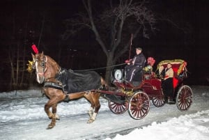 Giro in carrozza a cavallo a Central Park (65 min)