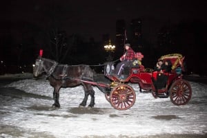 ニューヨーク セントラルパークでの馬車乗馬（65 分）