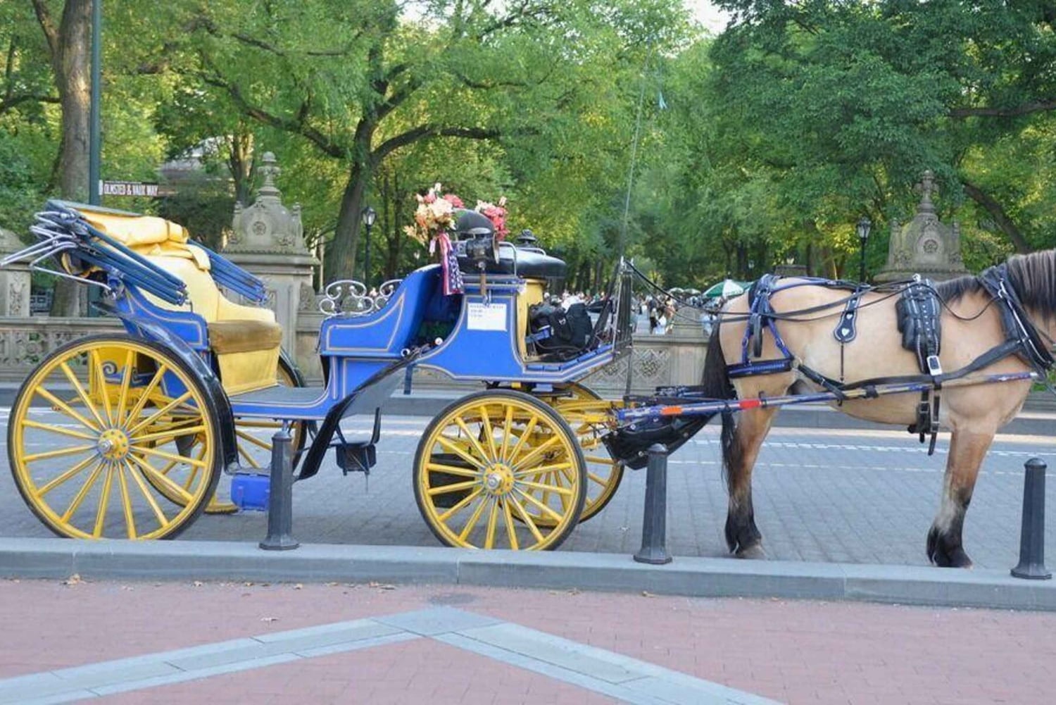 New York : promenade en calèche dans Central Park