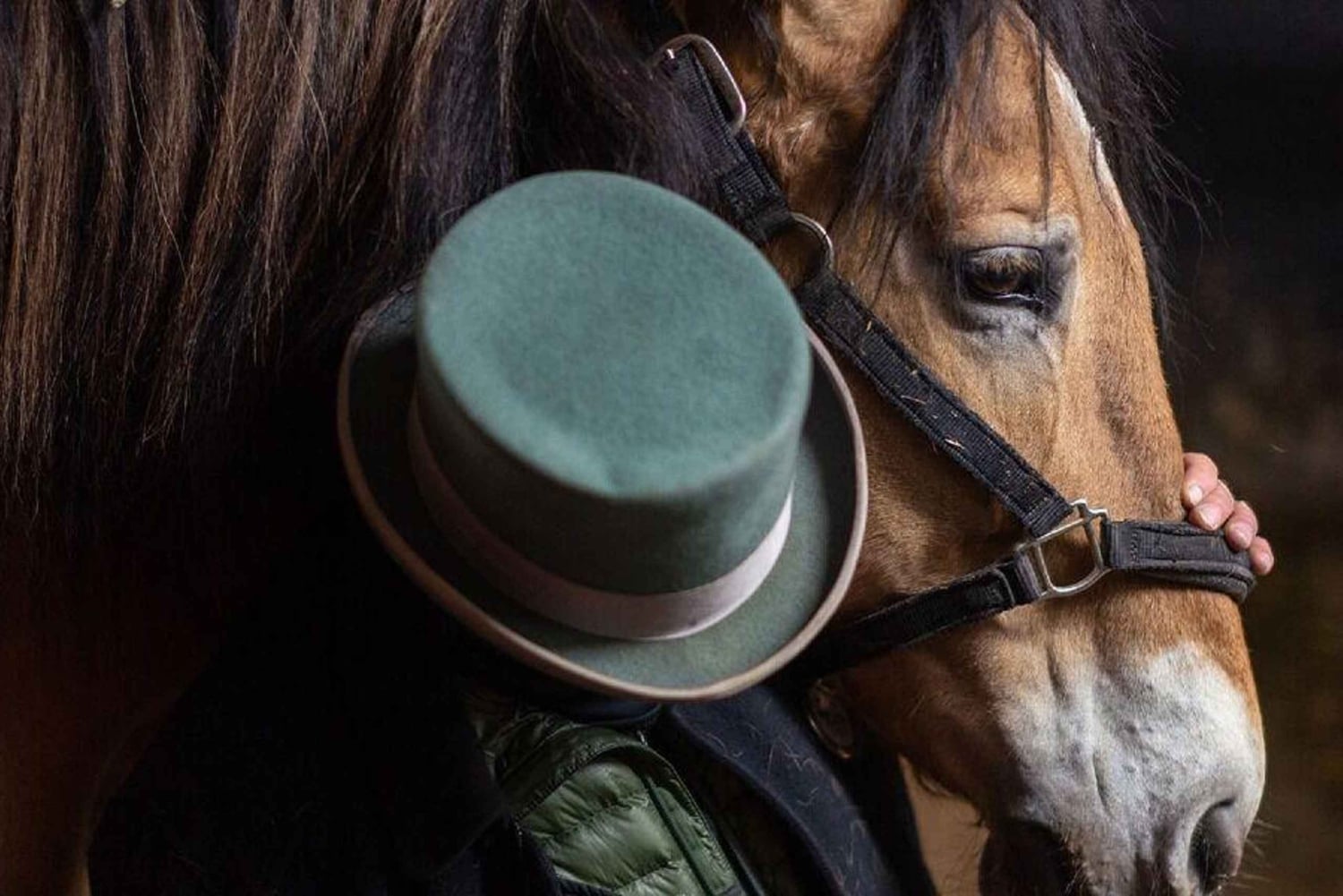 New York : promenade en calèche dans Central Park