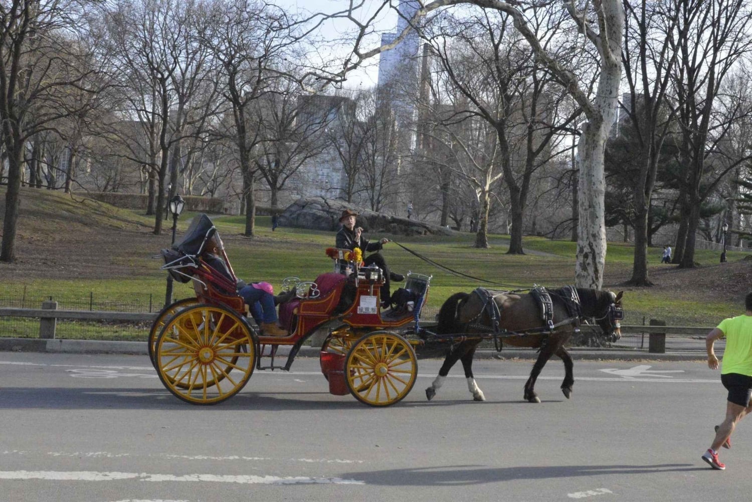New York : promenade en calèche dans Central Park