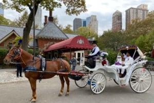 New York : promenade en calèche dans Central Park