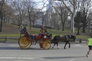 New York : promenade en calèche dans Central Park