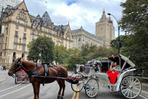 New York : promenade en calèche dans Central Park