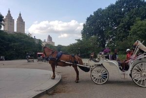 New York : promenade en calèche dans Central Park