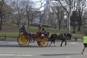 New York : promenade en calèche dans Central Park